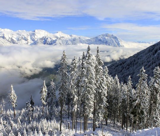 Journée en montagne team building dans les Alpes