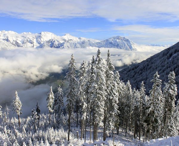 Journée en montagne team building dans les Alpes