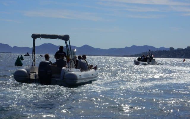 Team building bateau Zodiac Incentive Cannes