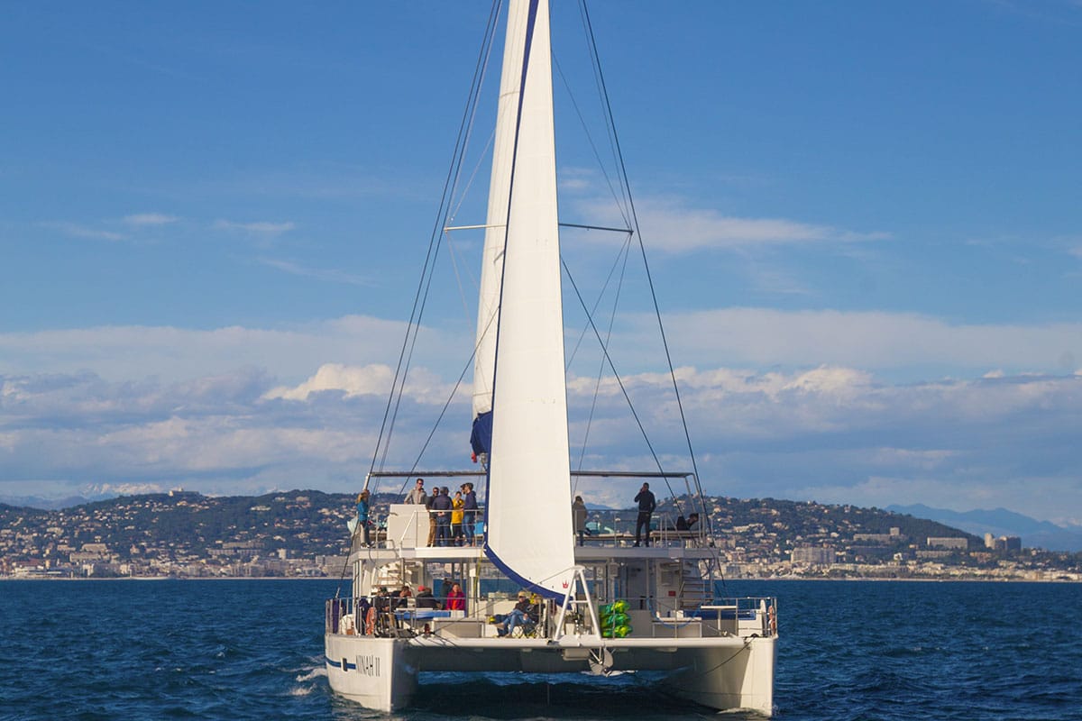 Voile Tranquille | Organisation croisière team building