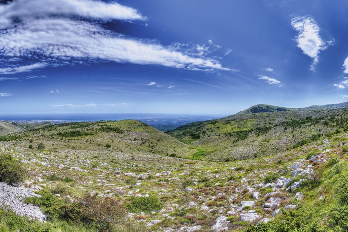 Découverte nature du sud de la France