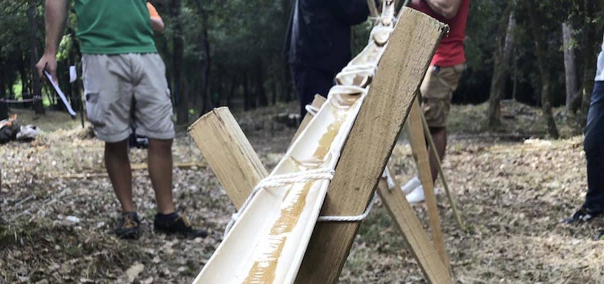 Les bienfaits des activités RSE sur la cohésion d’équipe Eco-Forest Team Building Développement Durabl