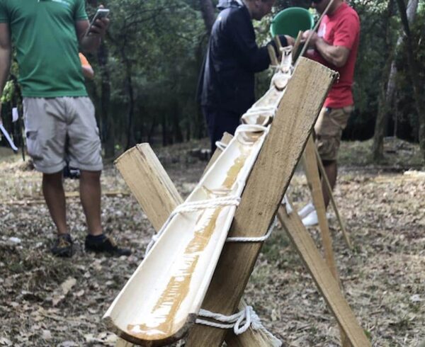 Les bienfaits des activités RSE sur la cohésion d’équipe Eco-Forest Team Building Développement Durabl