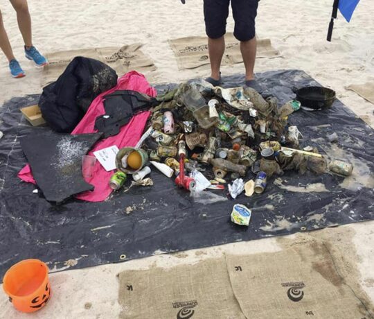 Paddle Cleaning | Team building écologique Côte d'Azur
