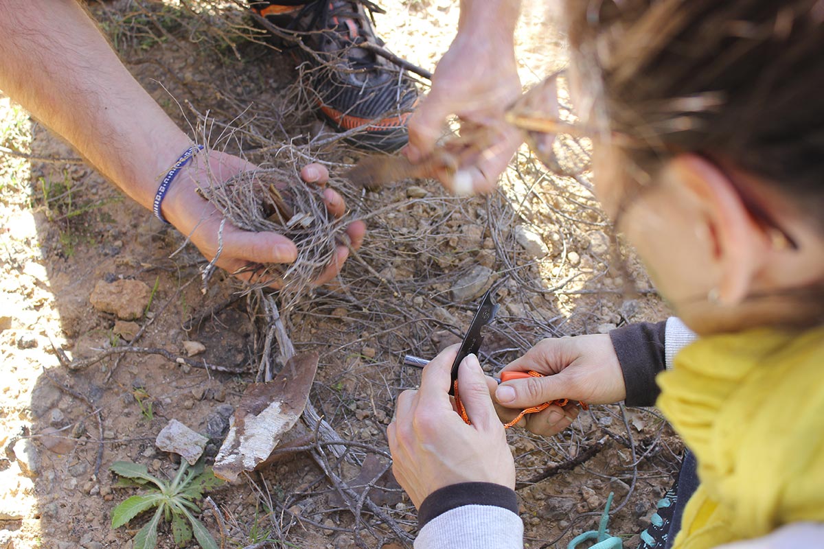 Team vs Wild | Team Building Survivor