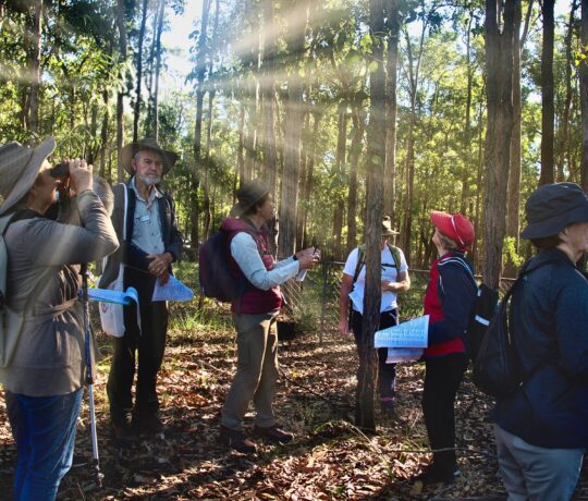 Meilleures-activites-cohesion-equipe-journee