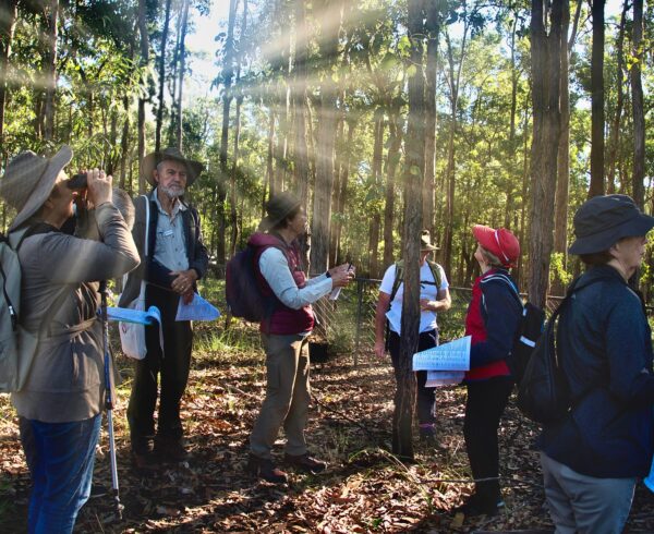 Meilleures-activites-cohesion-equipe-journee